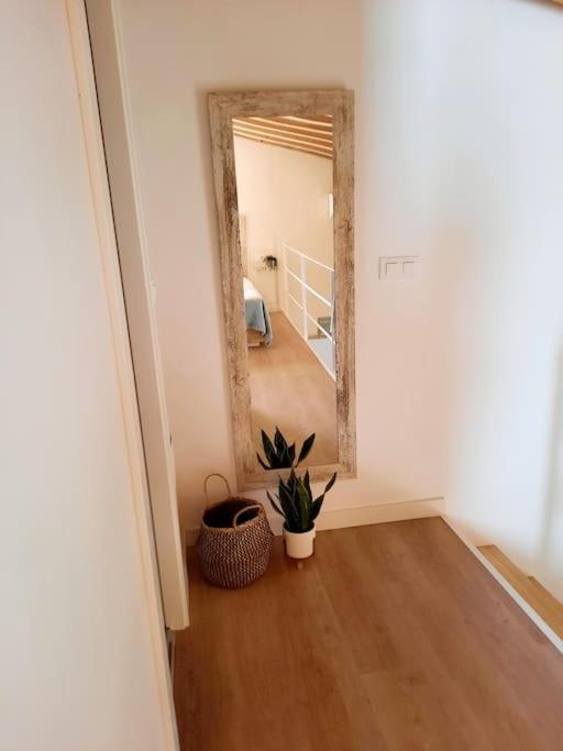 Loft Centrico Con Patio Bodega San Javier Apartment Jerez de la Frontera Ngoại thất bức ảnh