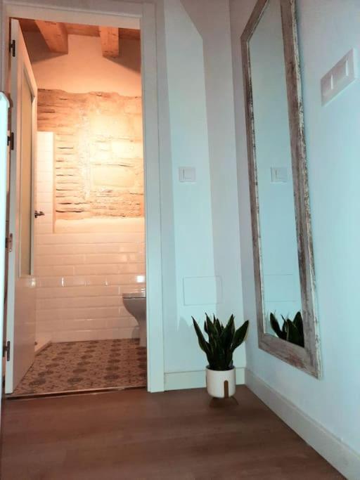 Loft Centrico Con Patio Bodega San Javier Apartment Jerez de la Frontera Ngoại thất bức ảnh